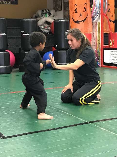 Vizzio's Institute of Martial Arts Vizzio's Institute of Martial Arts